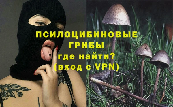 гашик Аркадак