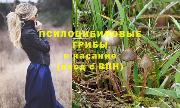 дмт Арсеньев