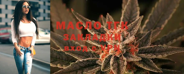 гашик Аркадак