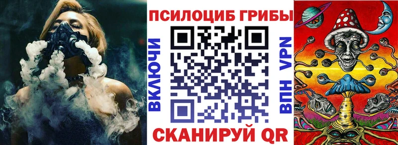 где купить наркотик  Новый Уренгой  Псилоцибиновые грибы прущие грибы 
