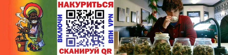 Бошки Шишки план Новый Уренгой